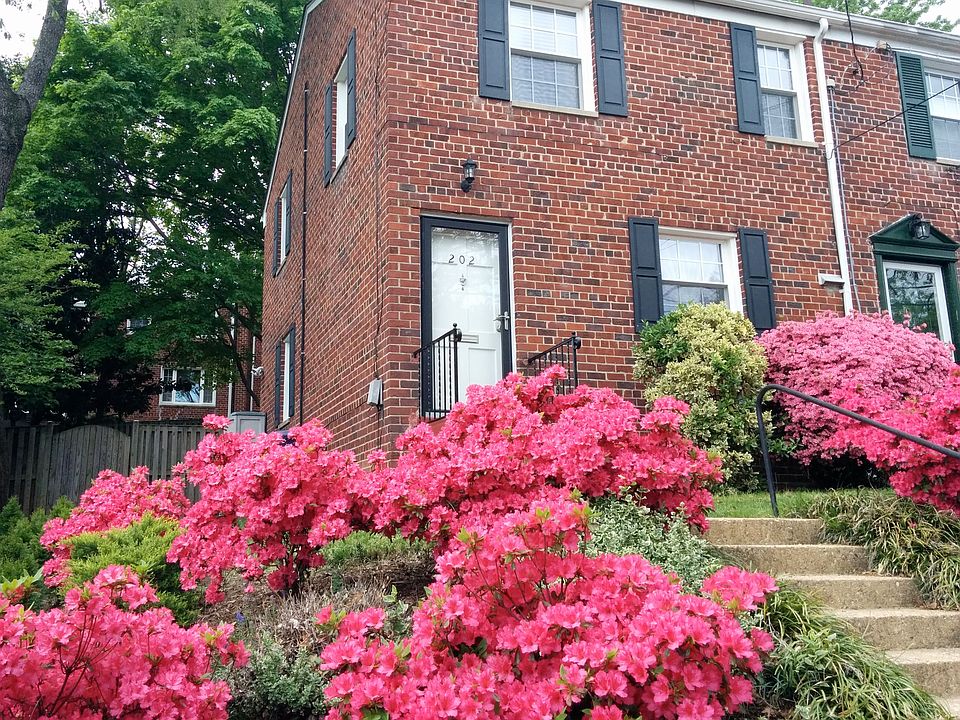 1st image of 202 Burgess Ave #1