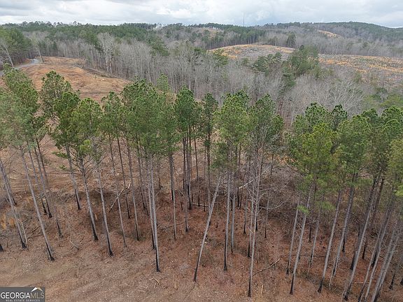 2nd image of 0 Johnson Mountain Rd #7401