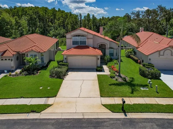 1115 Dartford Dr, Tarpon Springs, FL 34688