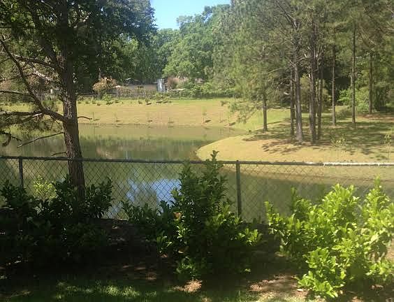 3rd image of 3581 Killarney Plaza Dr