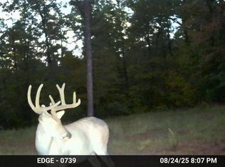 Madison St #410, Fredericktown, MO 63645