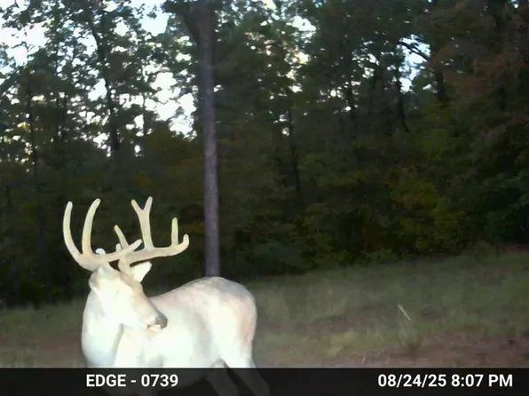 Madison St #410, Fredericktown, MO 63645