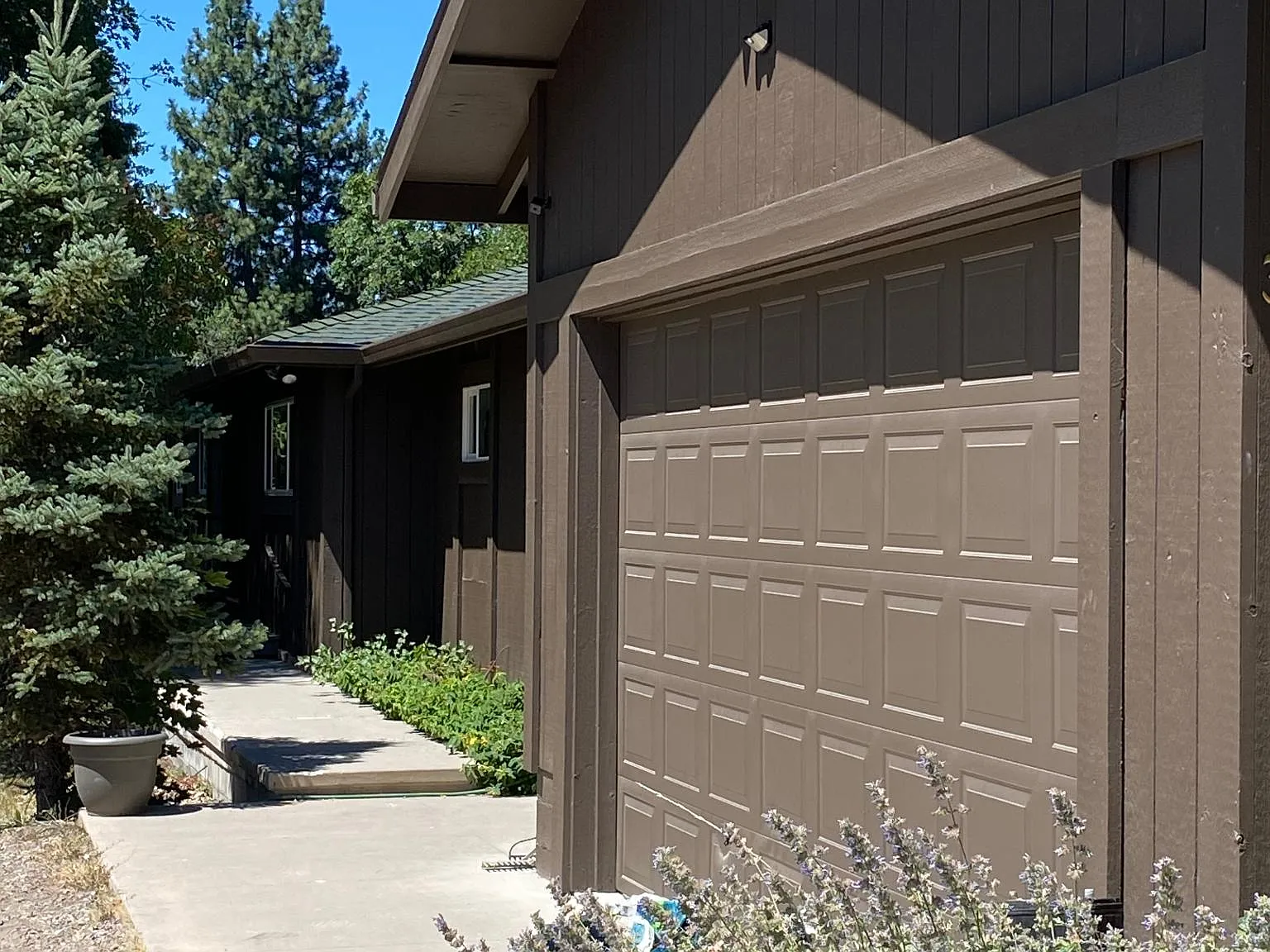 Shasta Way, Mount Shasta — Photo 3
