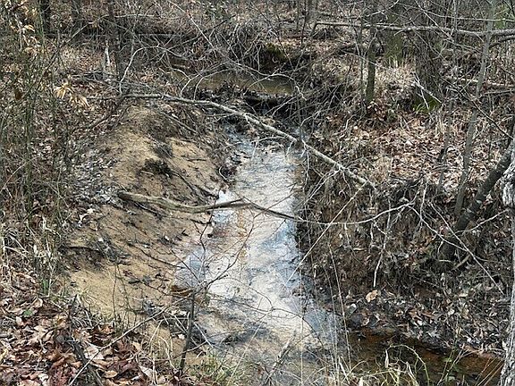 5th image of Coker Spur Rd