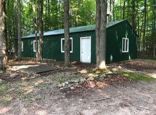 8905 Freeman Rd, Onaway, MI 49765