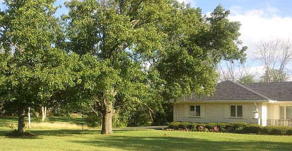 Attach 3 car garage sideview