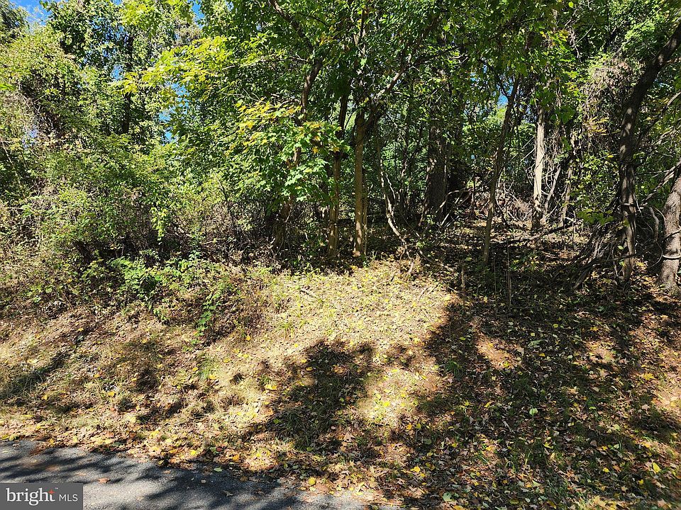 2nd image of 32 Walnut Trl