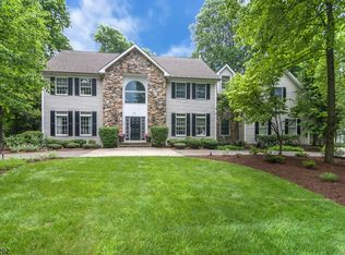 11 Tamari Ct, Randolph, NJ 07869