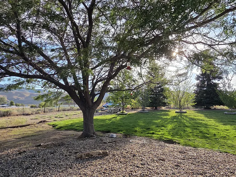 10175 Osage Ct — Photo 16