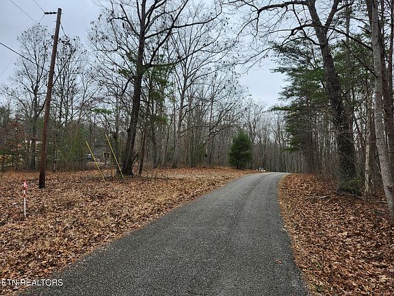 3rd image of Peacock Rd