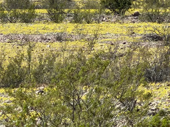 N La Quinta Ln, Safford, AZ 85546