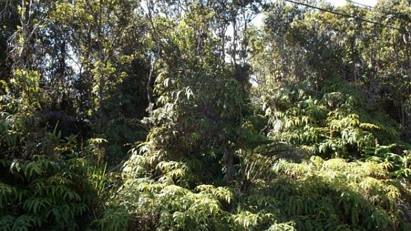 1st image of Nahelenani St Lot 329