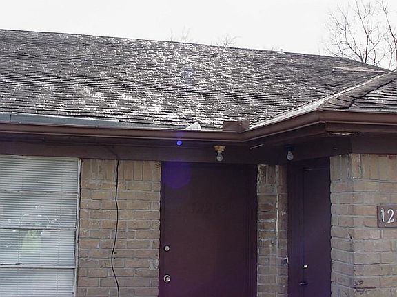 5th image of 12203 White Cap Ln
