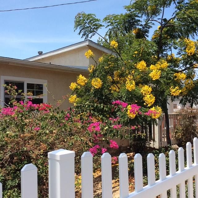 1st image of 2077 Thomas Ave