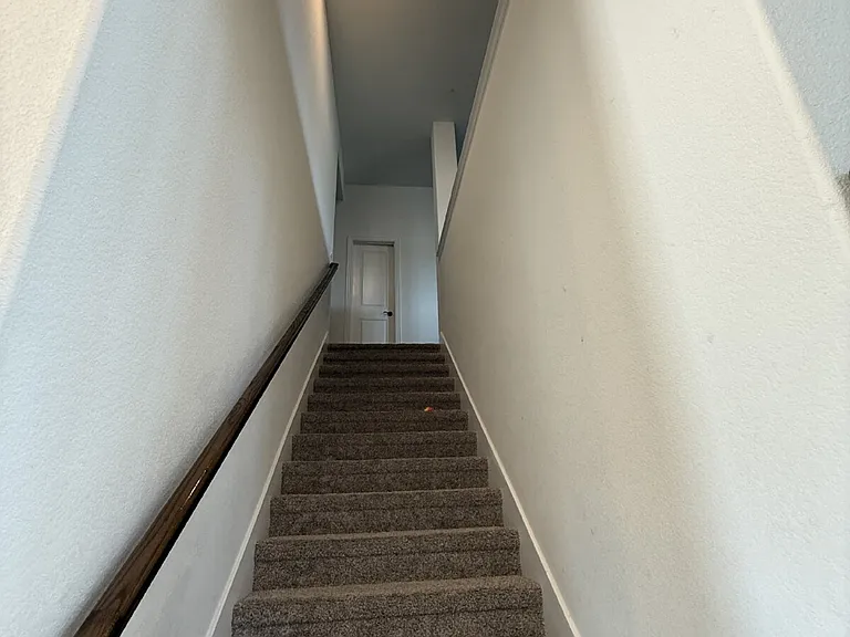3113 Blazing Star Rd — Photo 22