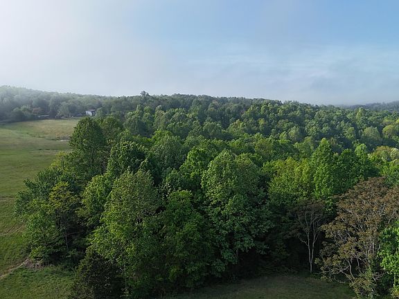 5th image of Murphy Rd