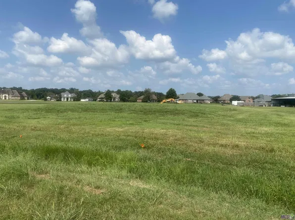 LOT 24 Buddy Gore Rd Lot 24, Gonzales, LA 70737