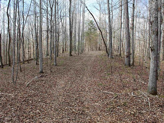 5th image of 3482 Waterfall Creek Rd
