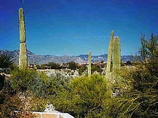 2nd image of 4312 N Camino Ferreo #0