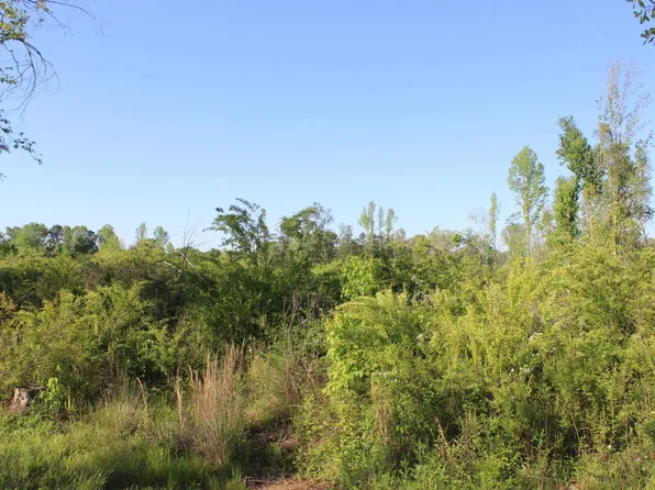 0 Welti Rd, Cullman, AL 35055