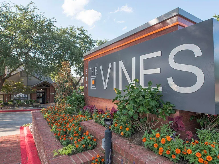 The Vines — Photo 22