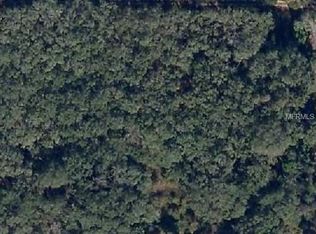 611 S Saint Cloud Ave, Valrico, FL 33594