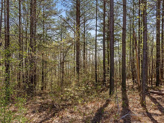 5th image of 0 High Ground Rd Lot 2233