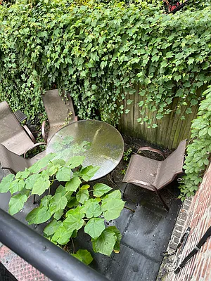 Rented by Eric Goodman Realty Corp | media 17