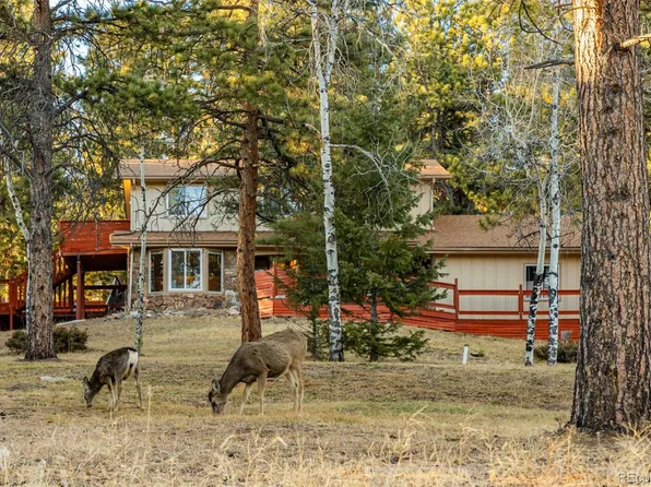 28735 Little Big Horn Drive, Evergreen, CO 80439