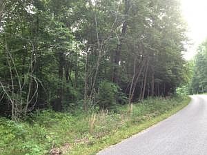 2nd image of 161 Ward Ln