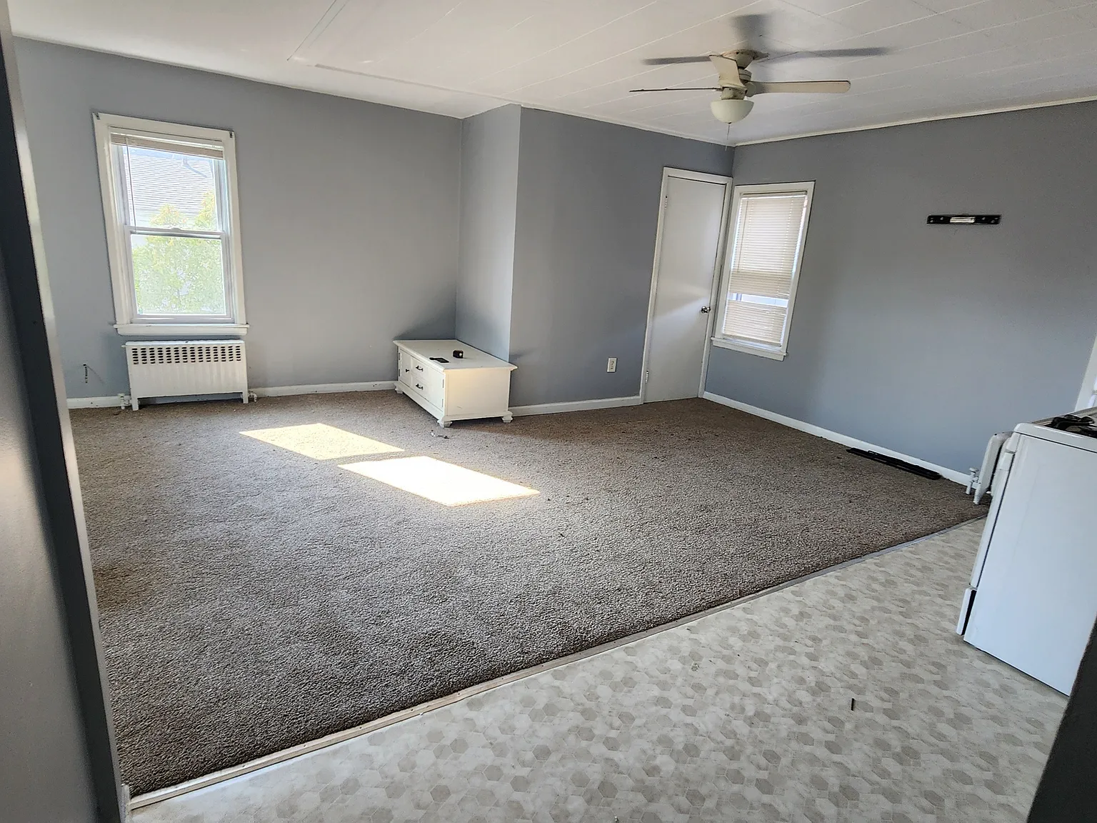 2338 Elmwood - Studio — Photo 1