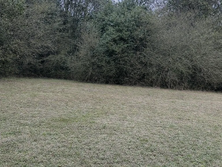 4386 Thrasher Cir — Photo 3