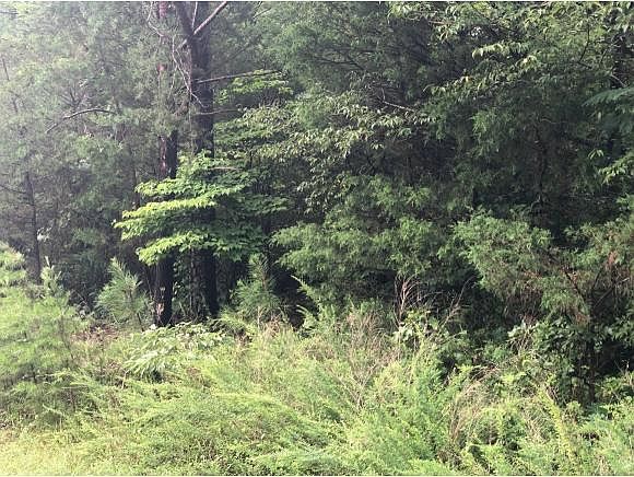 2nd image of 7337 Dew Sharpe Rd
