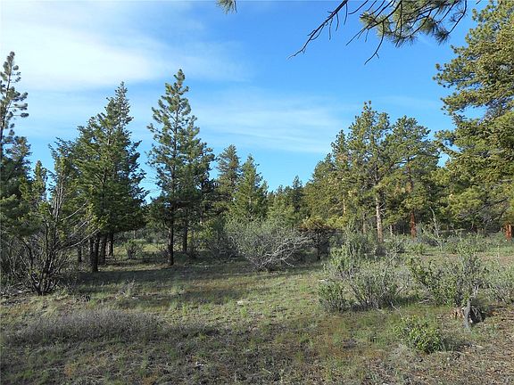 5th image of 30491 National Forest Dr