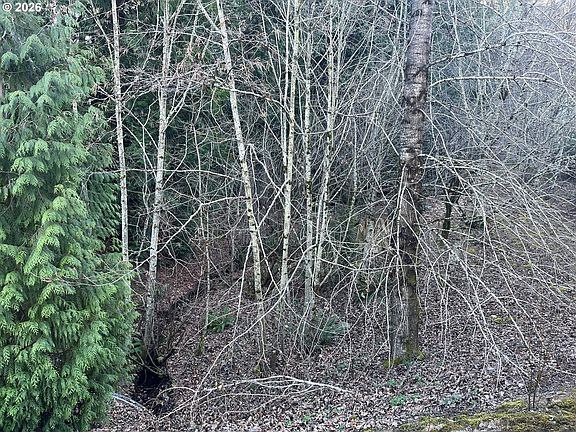 4th image of 242 SE 29th St