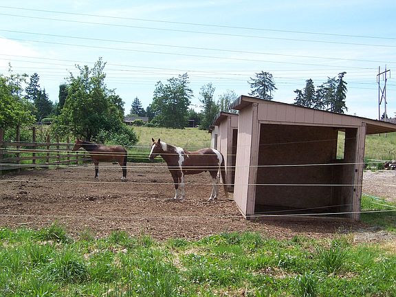 16 paddocks with Run-In Shelters