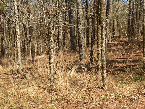 2nd image of 1151 Shadow Creek Way Lot 1040
