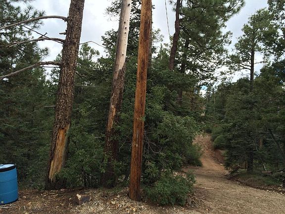 4th image of 2805 E Saguaro Dr