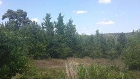 1st image of CR 338