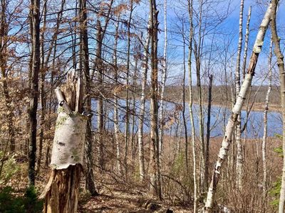 Thelen Rd, Mountain, WI, 54149