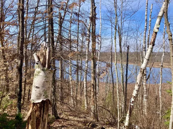 Thelen Rd, Mountain, WI 54149