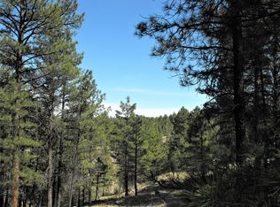 1545 Moqui Dr, Happy Jack, AZ 86024