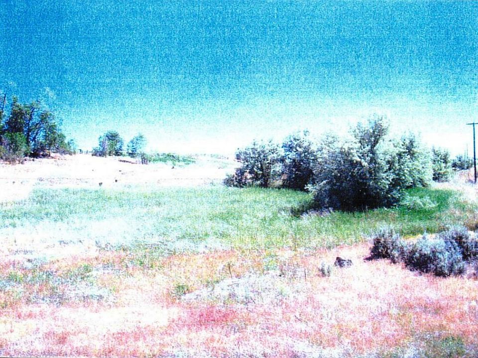 2nd image of 16707 SE 11 Road
