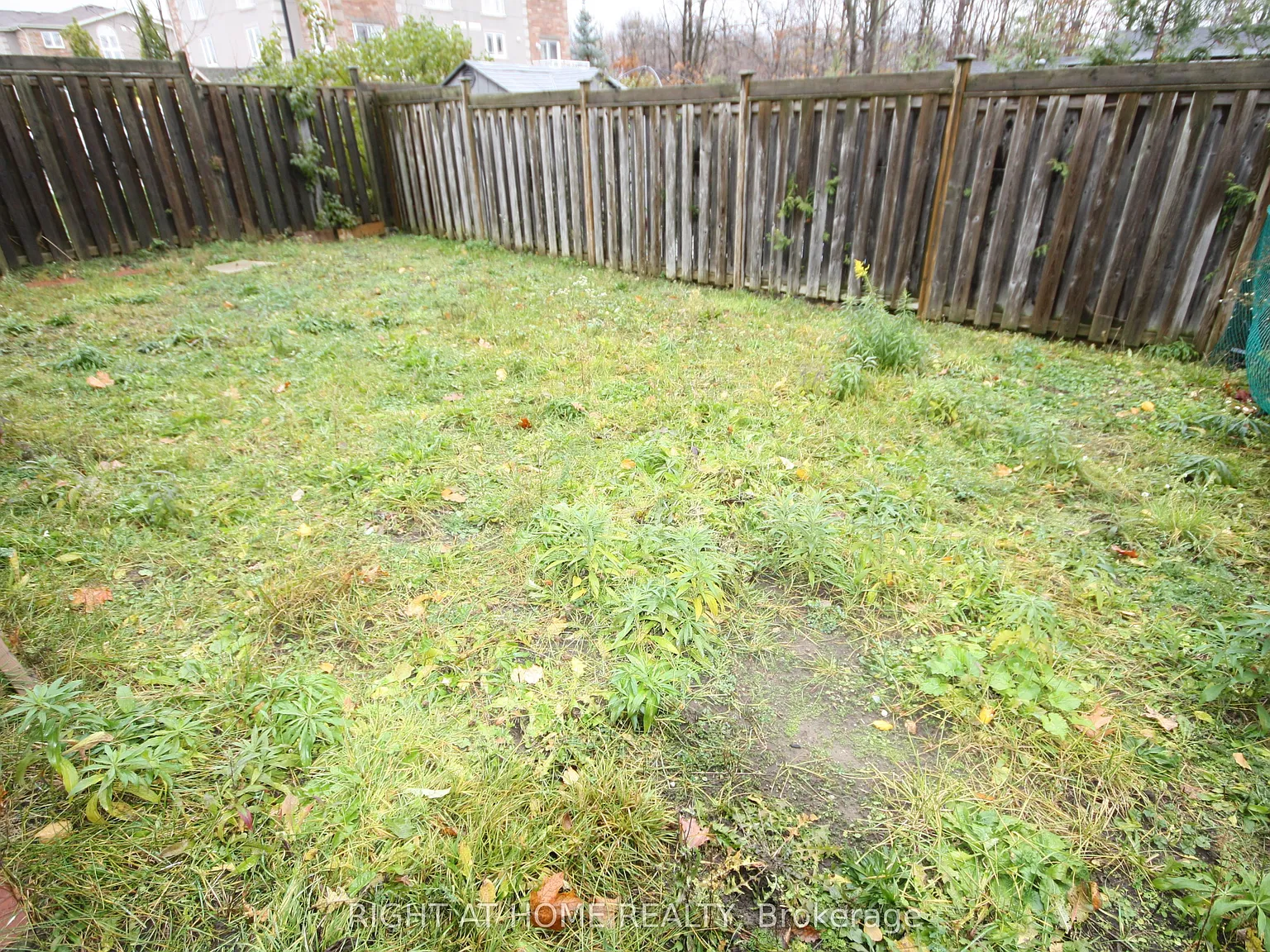 4 bed, $3,000 — Photo 3