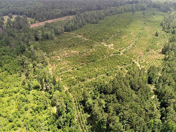 3rd image of County Road 1095
