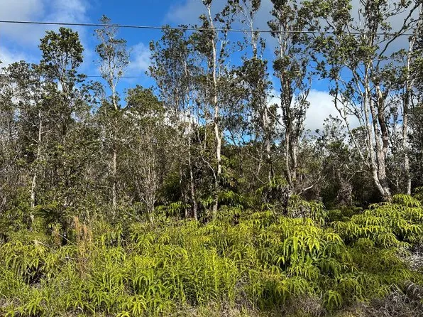 Mokuna St, Volcano, HI 96785