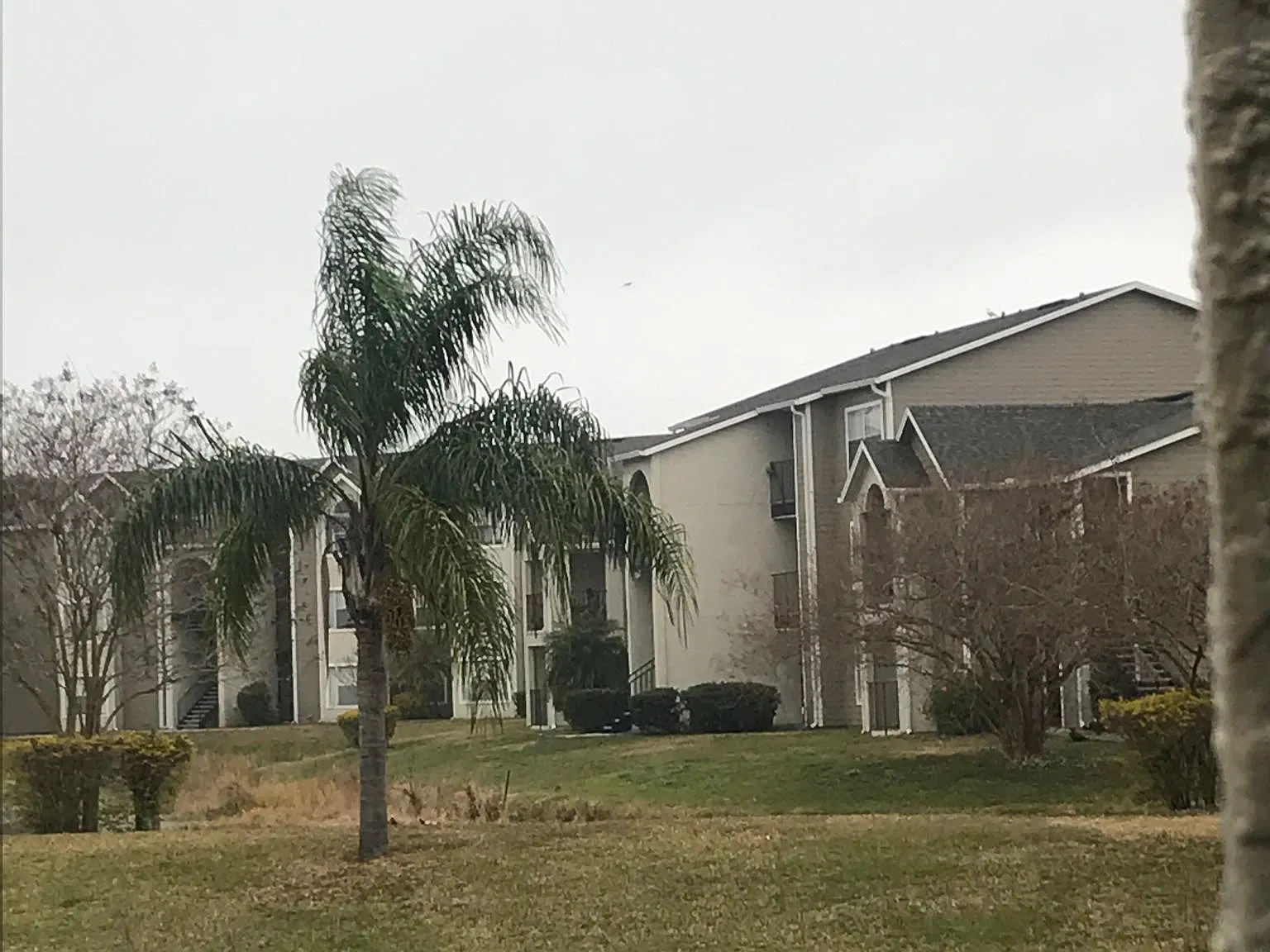 Walden Cir, Orlando — Photo 3