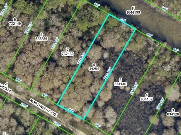 NW Avenue Lot #6, Webster, FL 33597