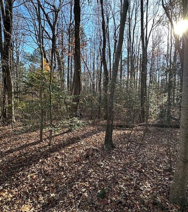 2nd image of 16 Holly Point Dr