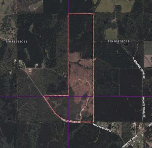 1234 Mallilieu Rd, Ruth, MS, 39662